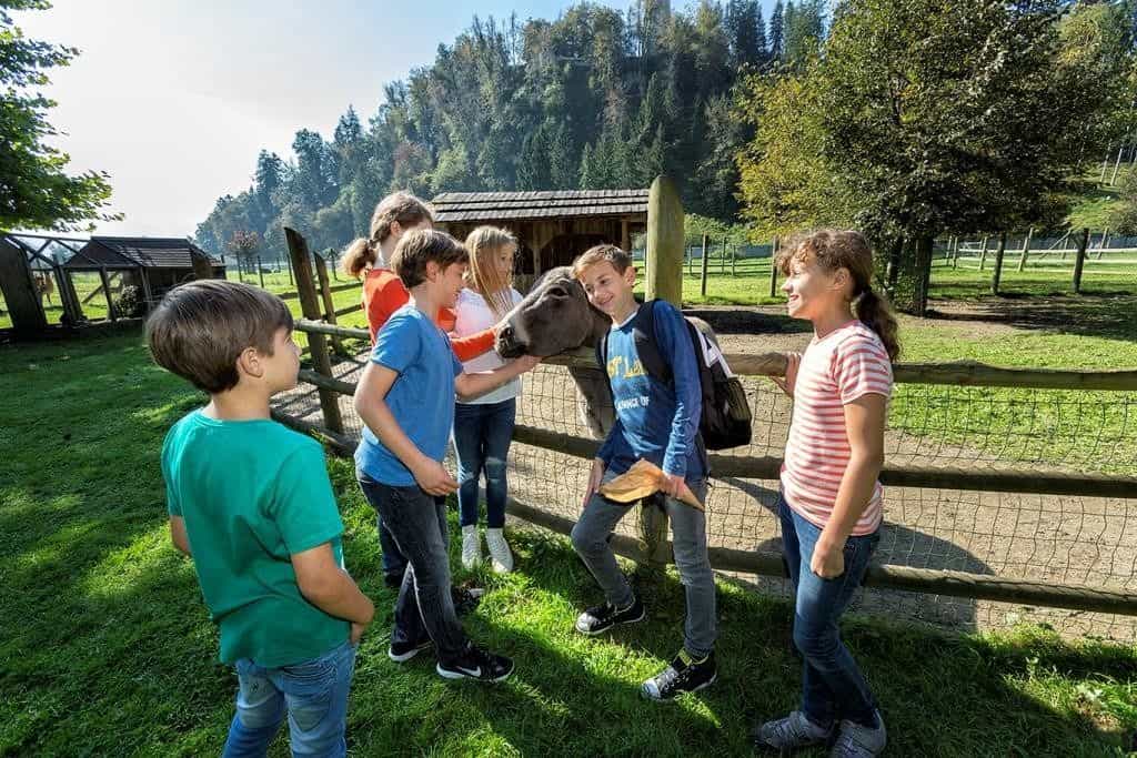 Kinder im Streichelzoo beim Ausflug mit Kindern in Kärntens beliebtesten Tierpark!