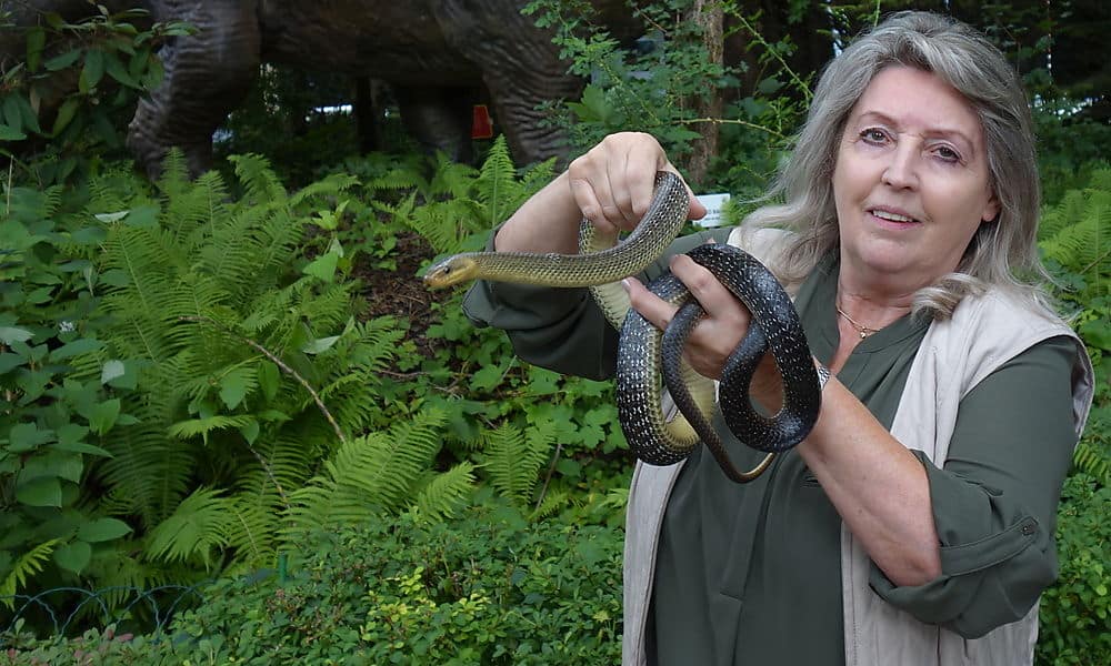 Helga Happ Schlangen Kärnten