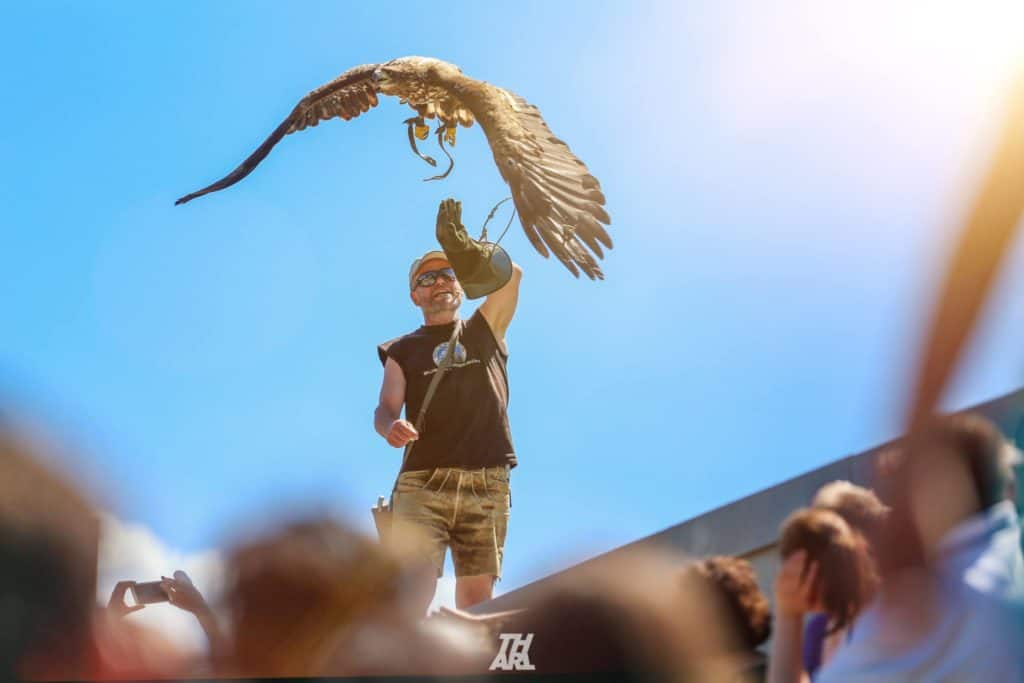 Flugshows auf der Adlerarena Burg Landskron bei Villach