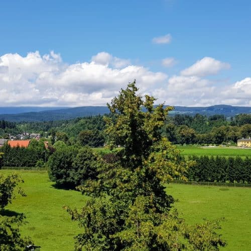 Rundgang Tierpark Rosegg mit Blick auf Schloss Rosegg in Kärnten