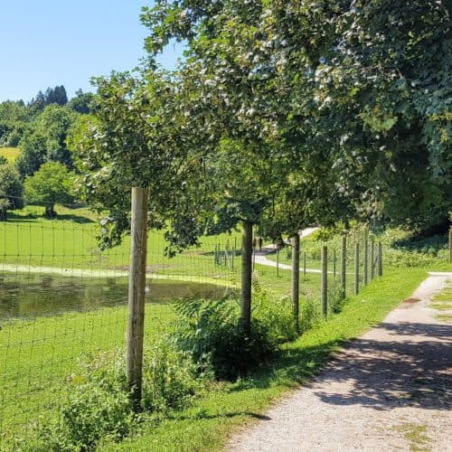 Ausflug mit Kindern in Kärnten Tierpark Rosegg Rundweg