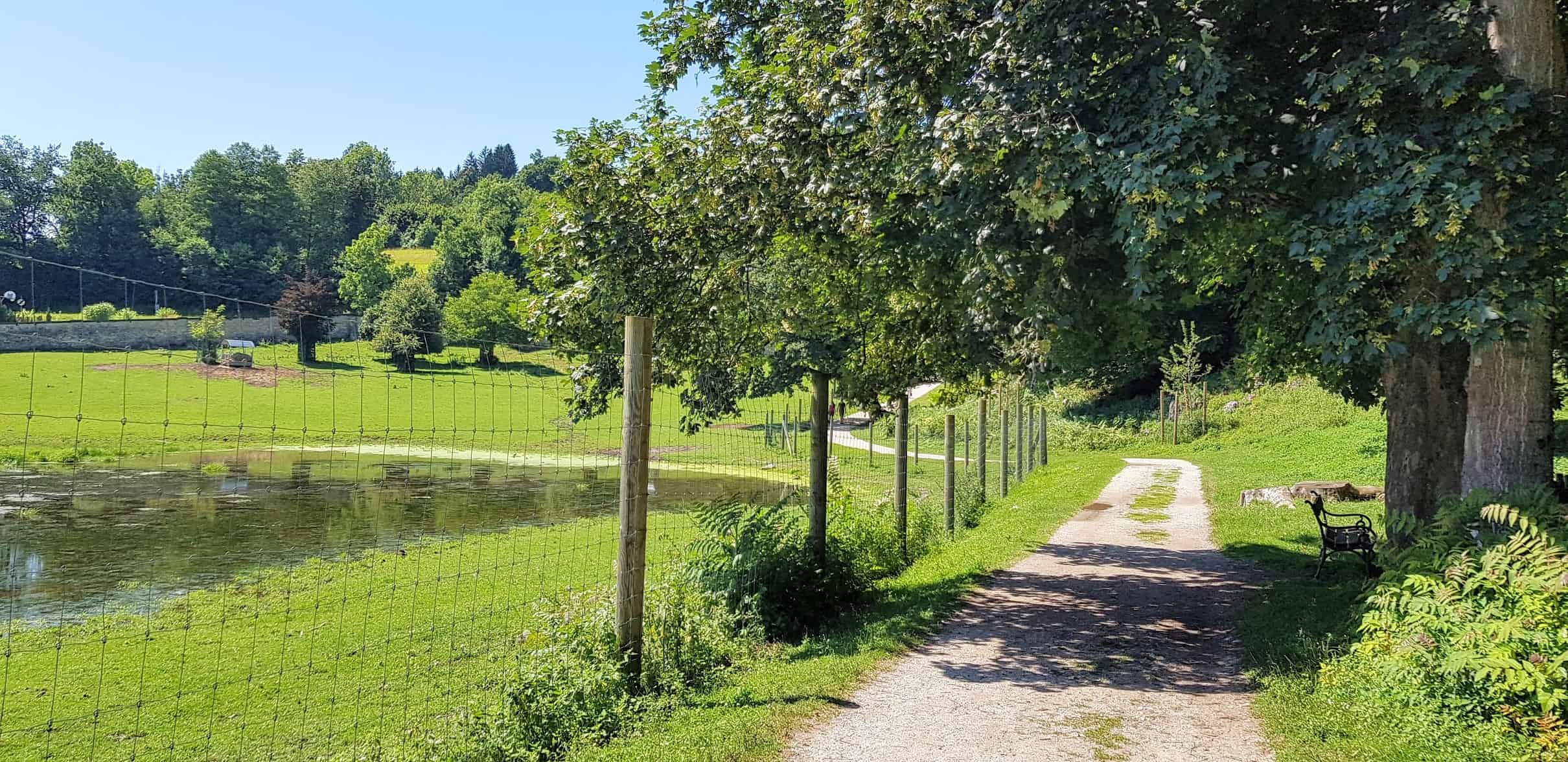 Ausflug mit Kindern in Kärnten Tierpark Rosegg Rundweg