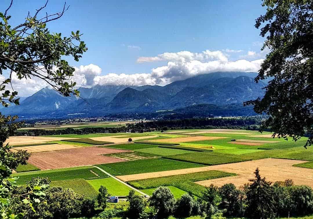 Aussichtspunkt Karawankenblick bei Wanderung durch Tierpark Rosegg