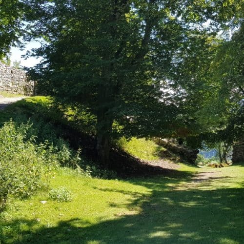 Besuch Tierpark Rosegg familienfreundlicher Rundweg