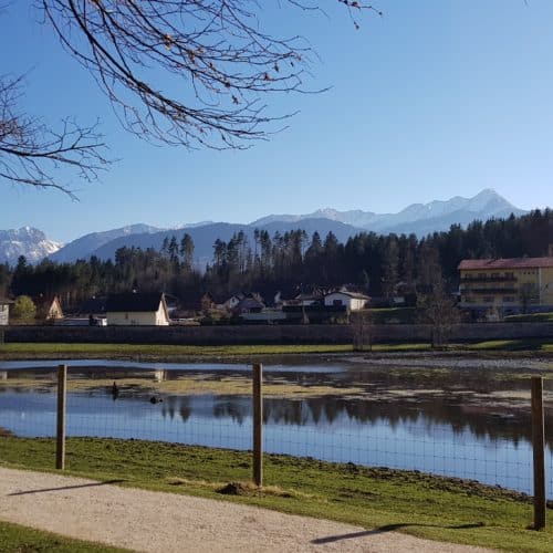 Bison-Gehege Tierpark Rosegg Blick auf Karawanken Kärnten