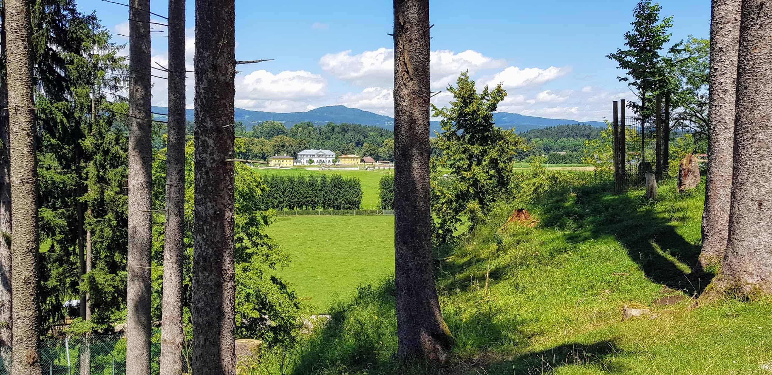 Blick auf Schloss Rosegg bei Wanderung durch Tierpark Rosegg Nähe Wörthersee