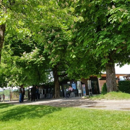 Eingangsbereich Ausflug Tierpark Rosegg Kärnten