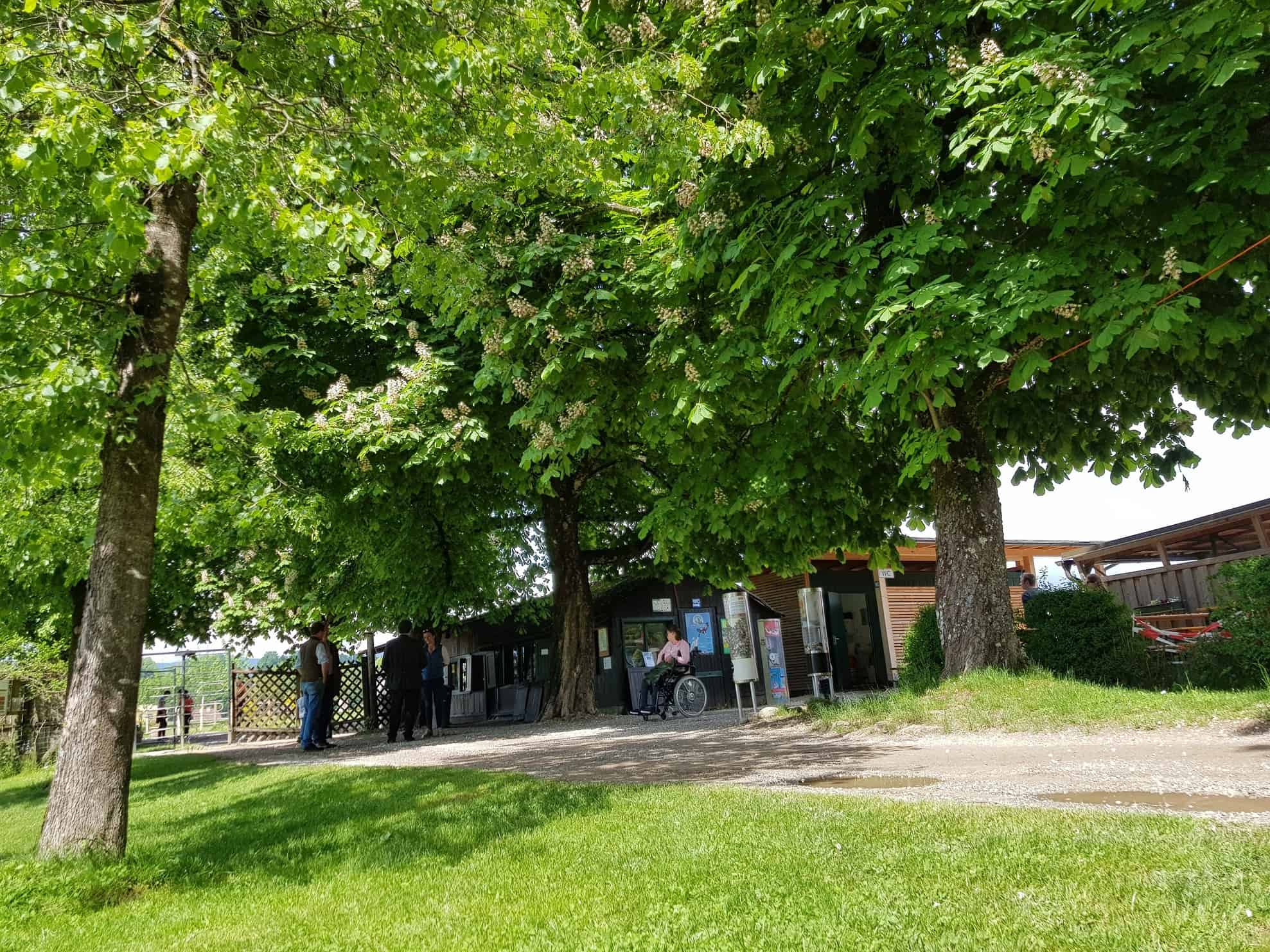 Eingangsbereich Ausflug Tierpark Rosegg Kärnten