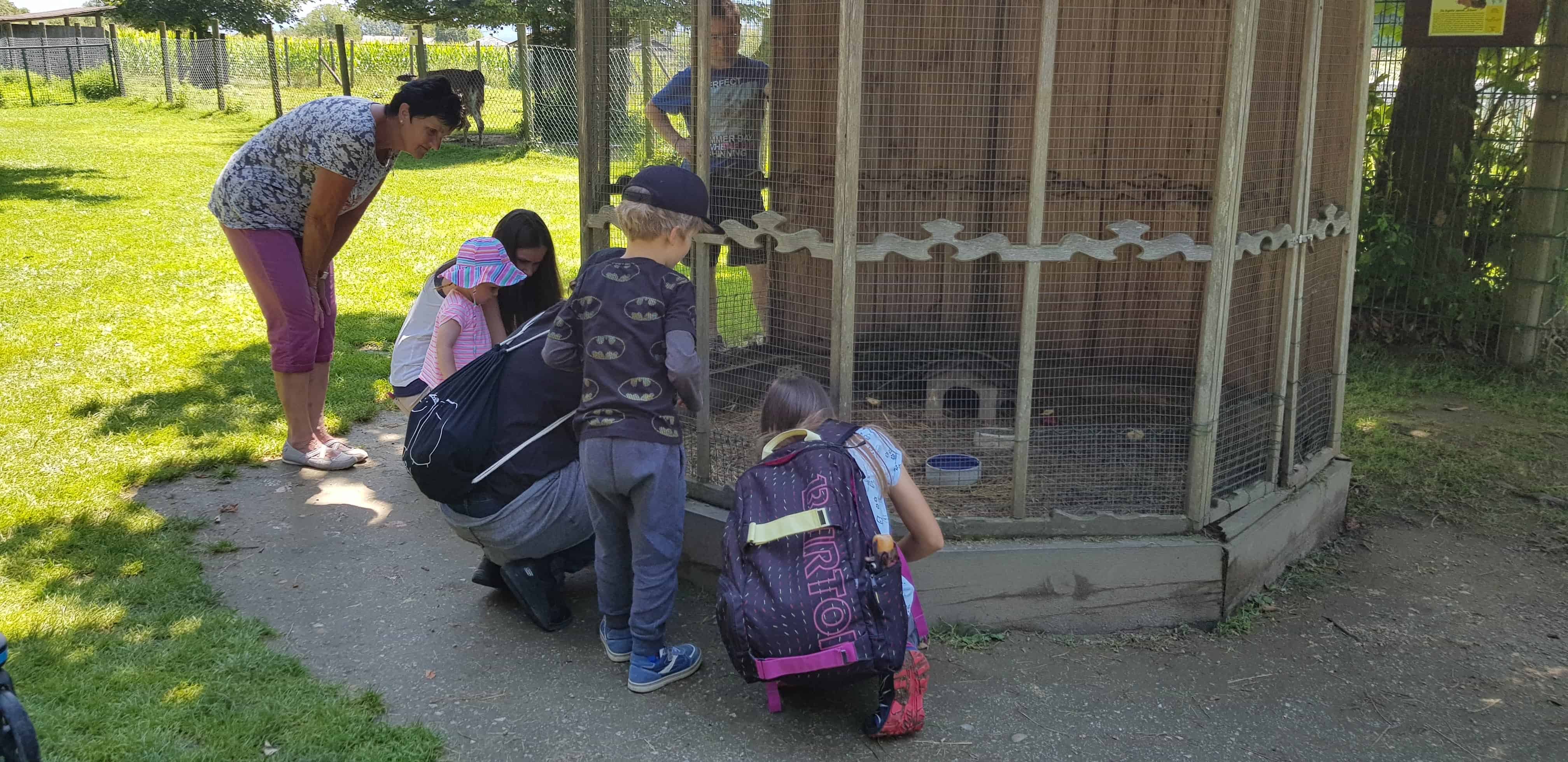 Familien füttern Tiere im Streichelzoo Tierpark Rosegg Ausflugsziel Kärnten