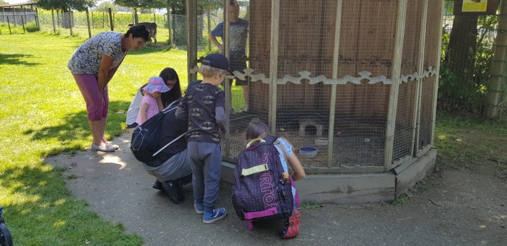 Familie im Streichelzoo Tierpark Rosegg bei Velden am Wörthersee