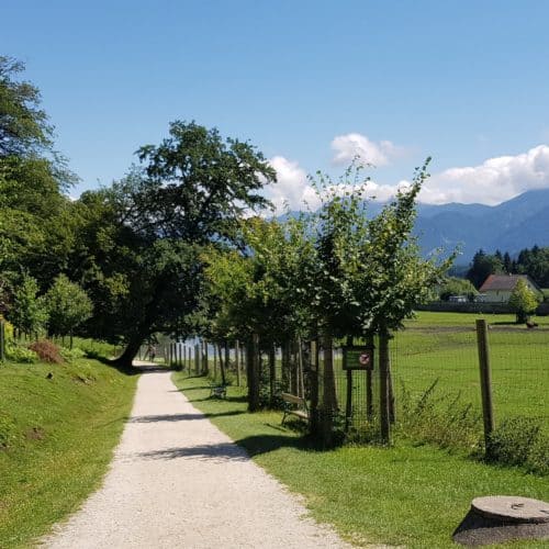 Kinderwagentauglicher Weg durch Tierpark Rosegg Kärnten