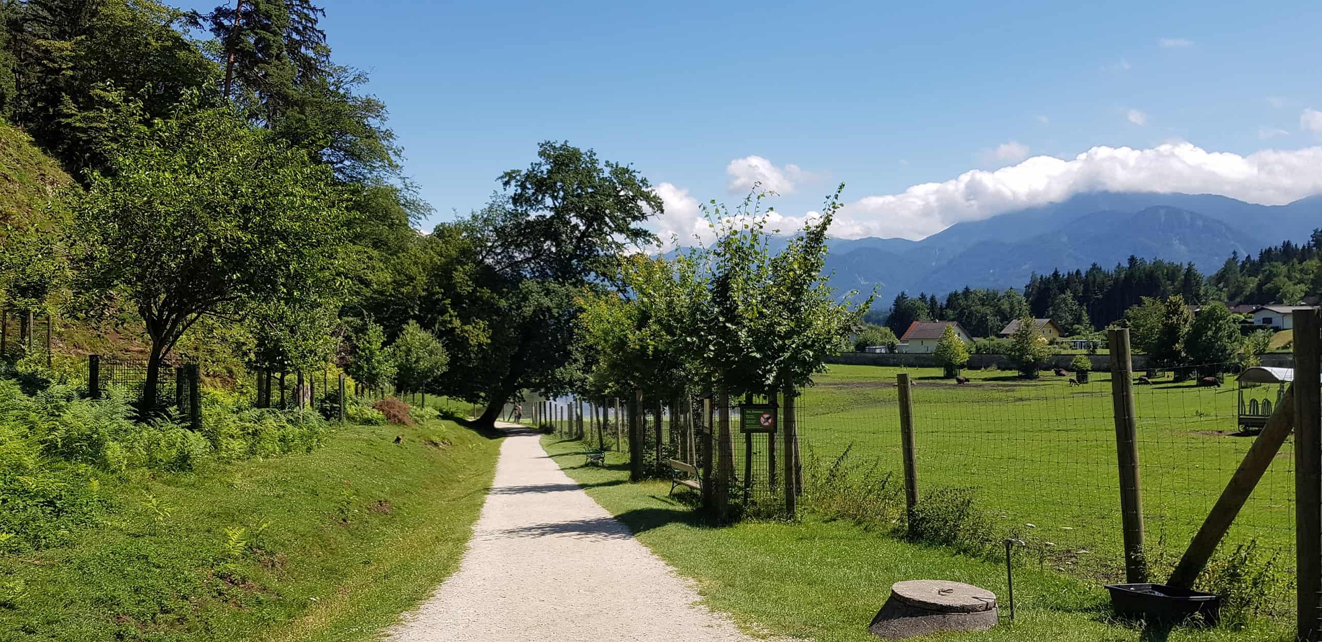 Kinderwagentauglicher Weg durch Tierpark Rosegg Kärnten