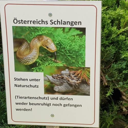 heimische Schlangen Reptilienzoo Happ Familienausflugsziel Kärnten - Schautafel.