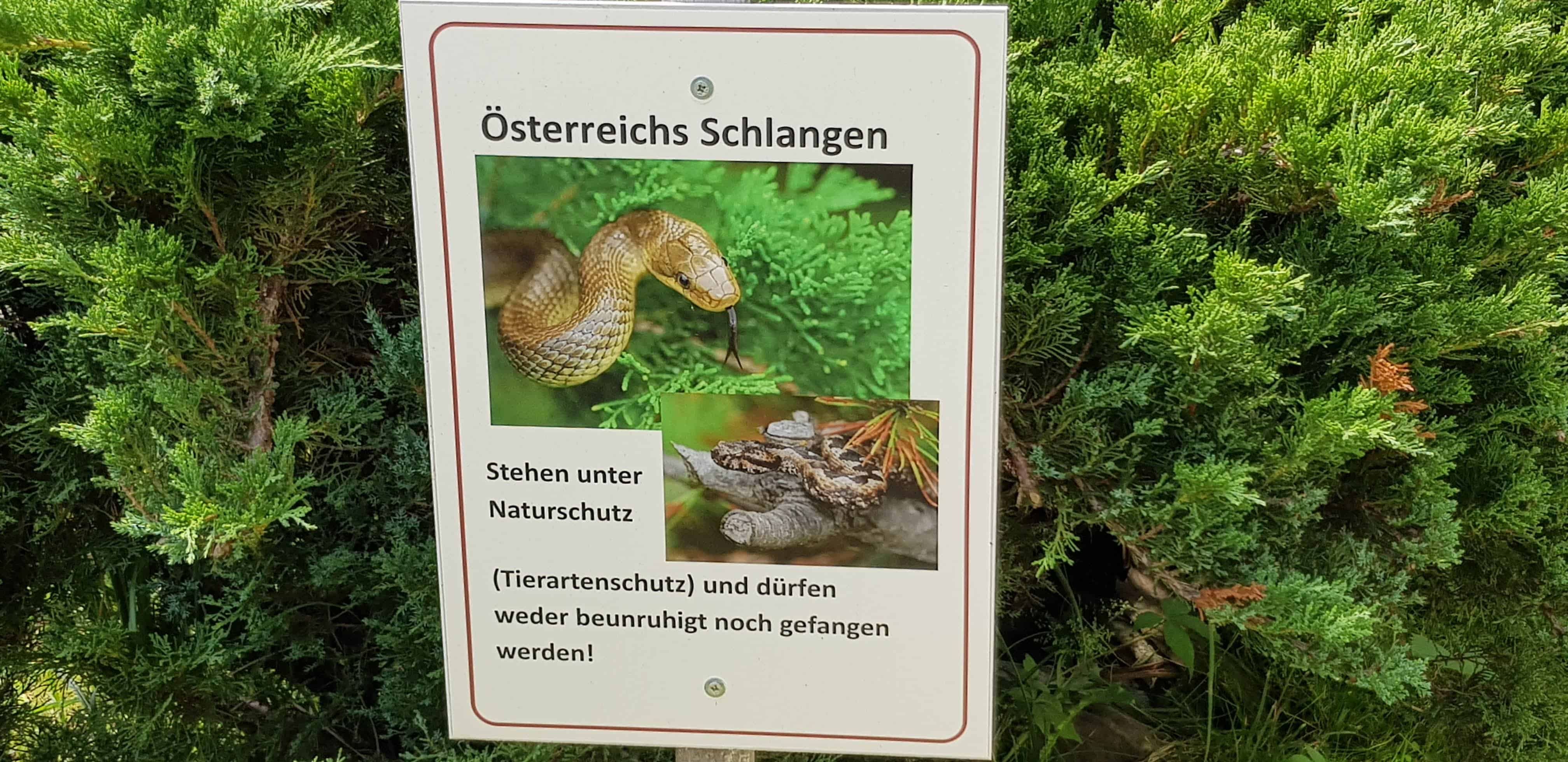 heimische Schlangen Reptilienzoo Happ Familienausflugsziel Kärnten - Schautafel.