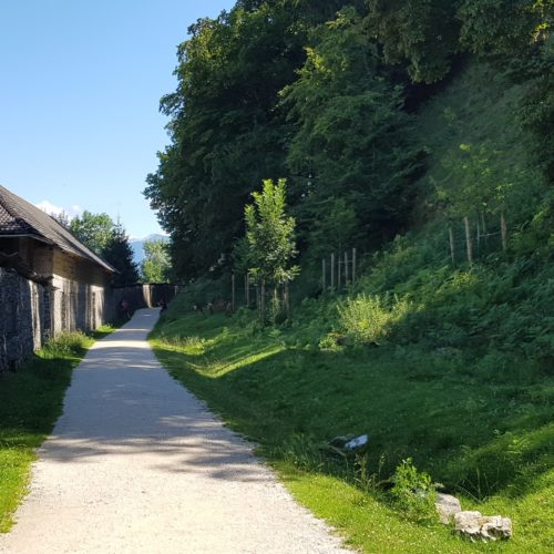 Historische Mauern schöner kinderfreundlicher Weg durch Tierpark Rosegg Kärnten