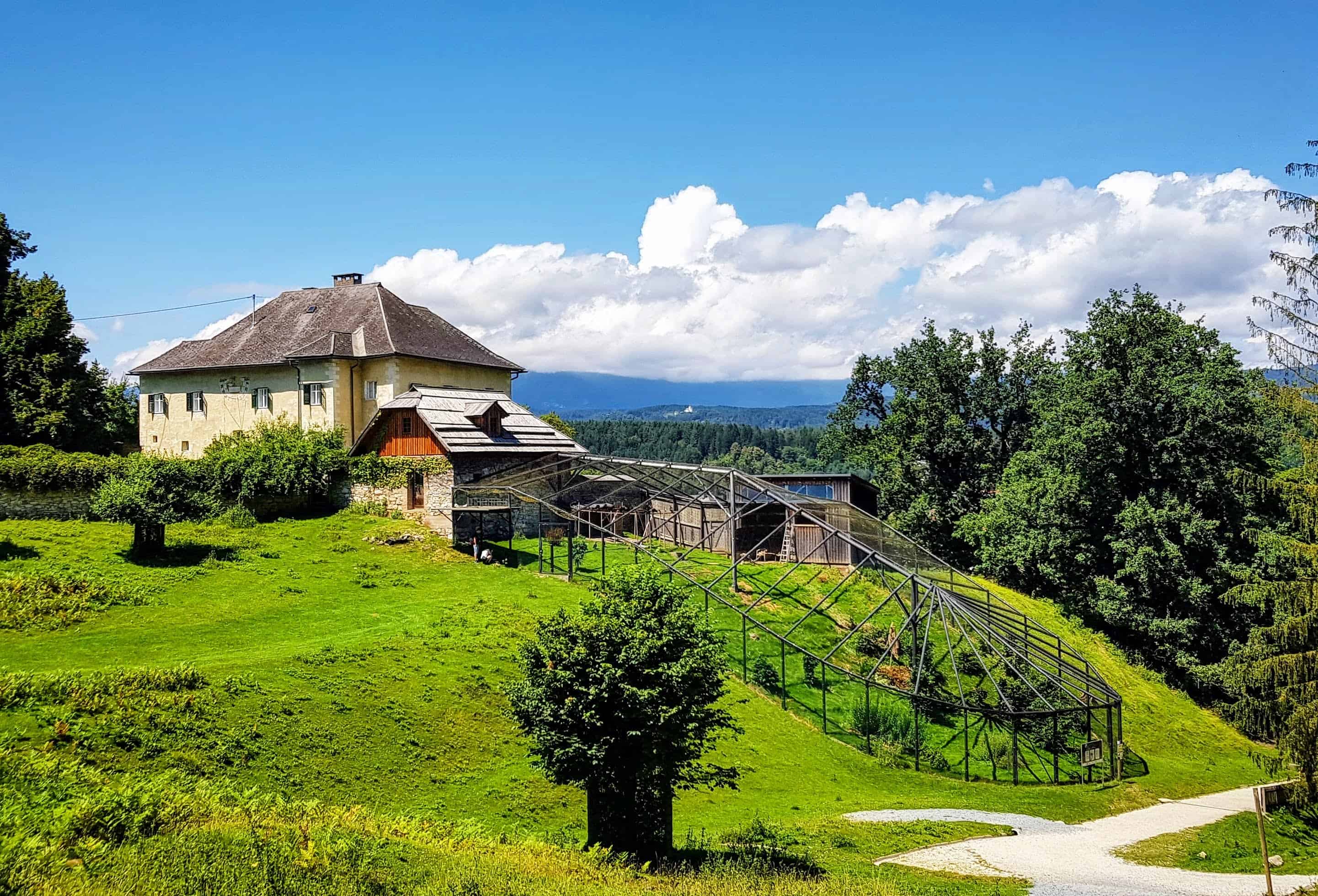 Kärntens TOP Ausflugsziele Tierpark Rosegg Österreich Wildtierpark Waldrappe