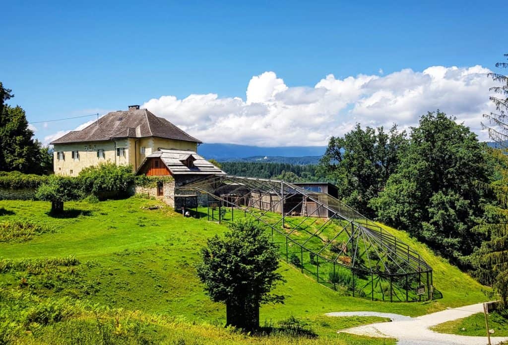 Familie Ausflug Wanderung Tierpark Rosegg Kärnten Card