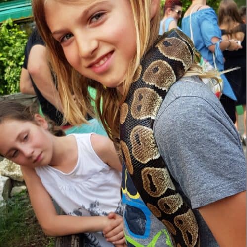 Kinder mit Schlange bei Ausflug im Reptilienzoo Happ Klagenfurt