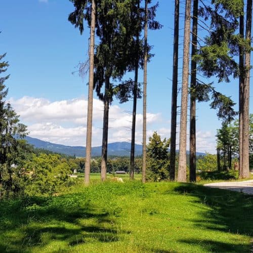 Kinder rasten bei Wanderung durch den Tierpark Rosegg in Kärnten