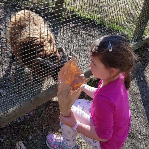 Kind füttert Ziege im Tierpark Rosegg in Kärnten