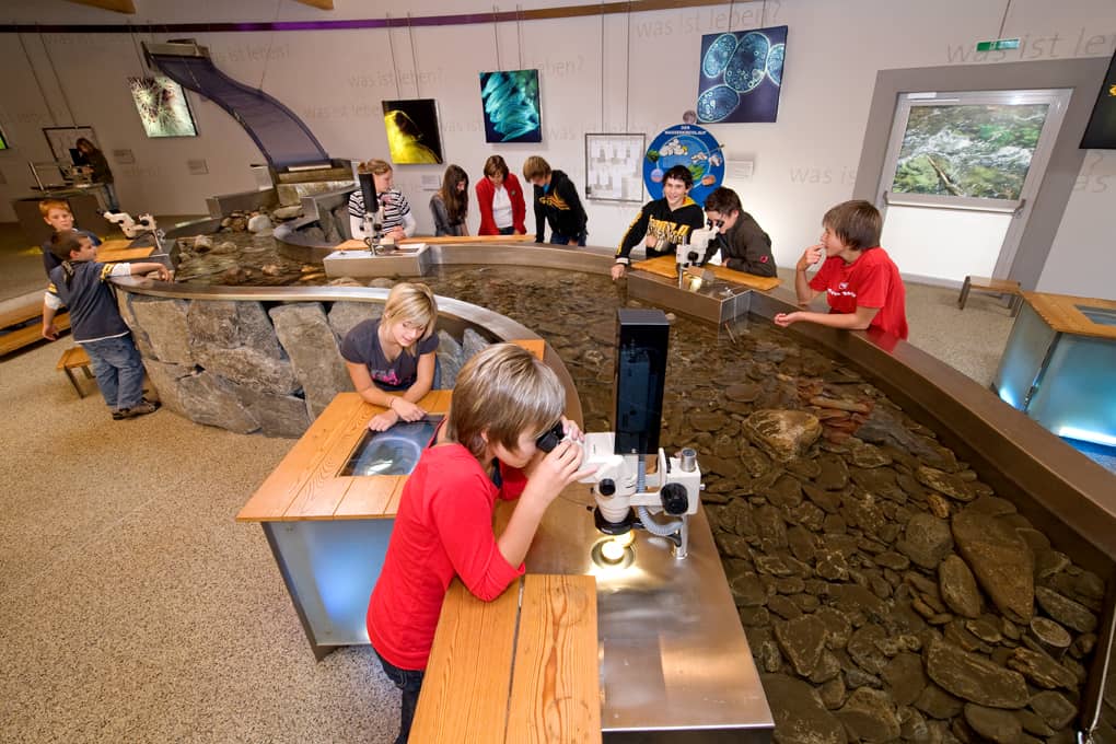 Kinder forschen im Besucherzentrum Mallnitz Regenwetter Ausflug Kärnten