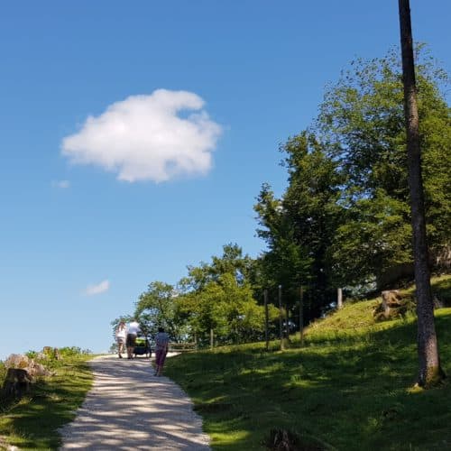 Kinderwagenfreundliche Wanderung Kärnten Ausflug Tierpark Schloss Rosegg