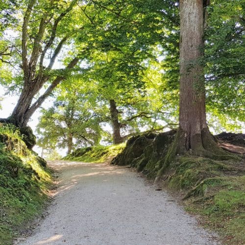 kinderwagenfreundliche Wege durch Tierpark Rosegg Kärnten Ausflugsziele