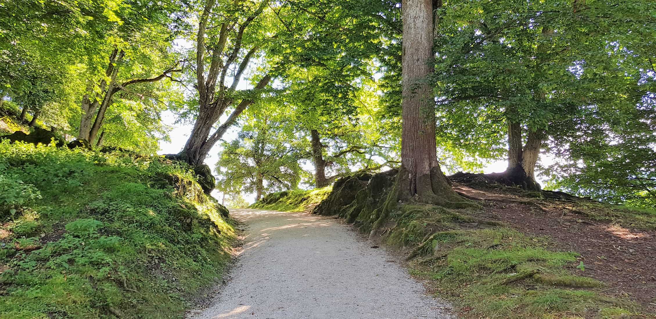 kinderwagenfreundliche Wege durch Tierpark Rosegg Kärnten Ausflugsziele