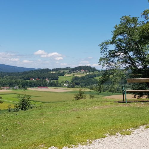 Rastplatz Ausflug Tierpark Rosegg Kärnten