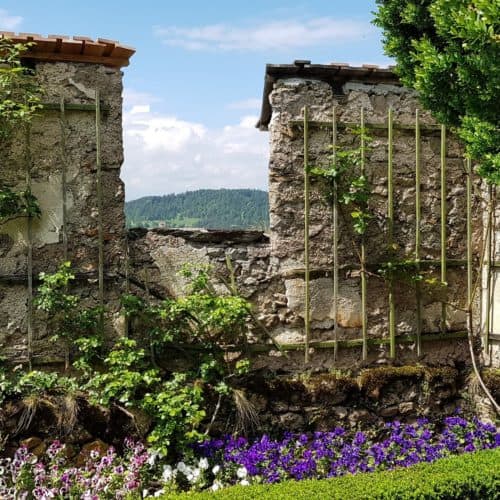 Rosengarten auf der Burg Hochosterwitz in Kärnten - Österreich