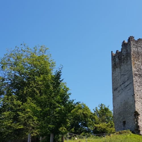 Ruine Rosegg mitten im Tierpark Rosegg in Kärnten