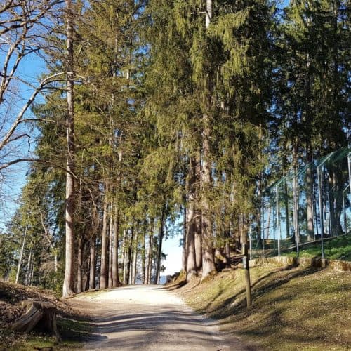 Rundwanderweg Tierpark Rosegg Frühling Ausflug Kärnten mit Kindern