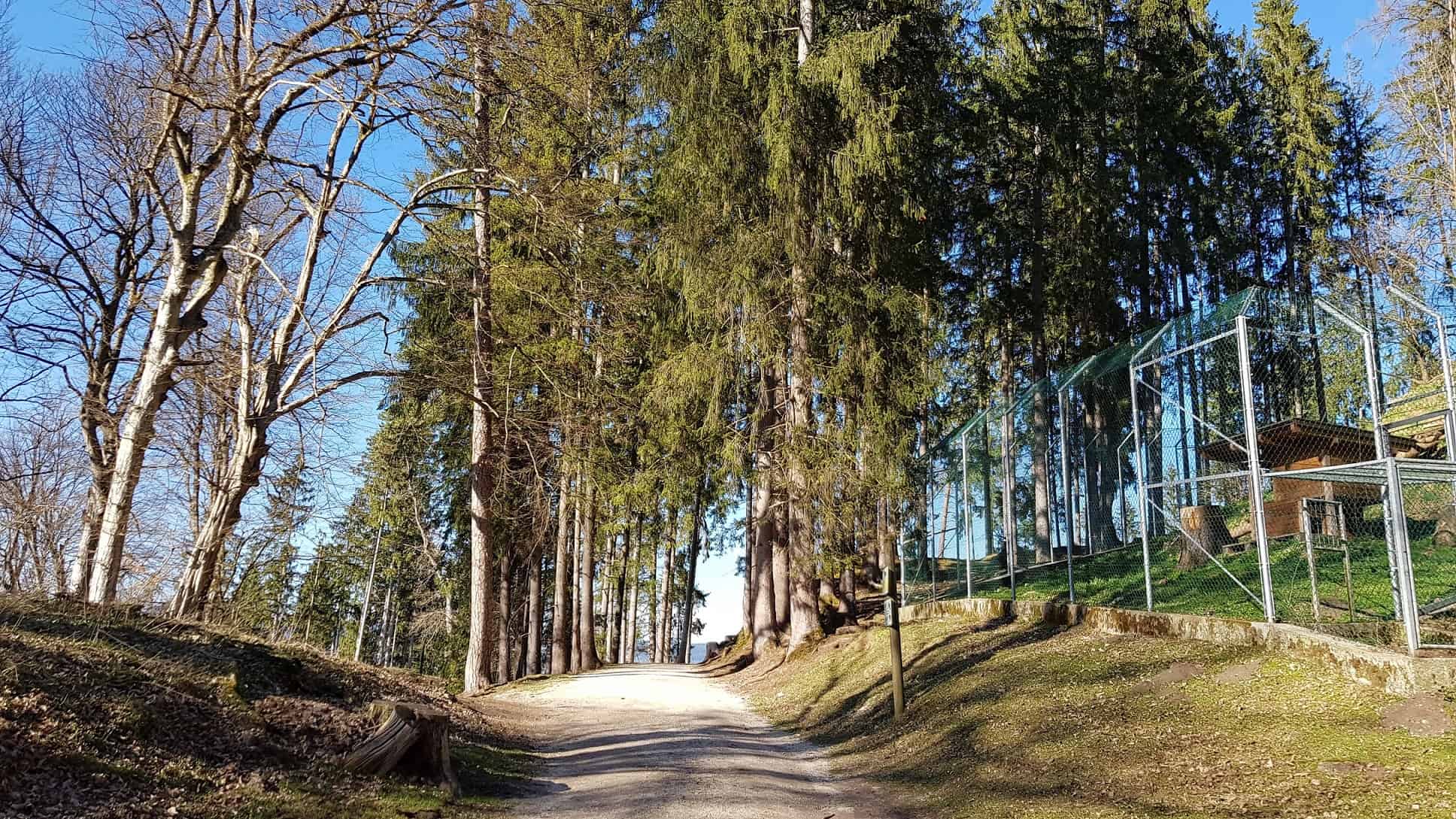 Rundwanderweg Tierpark Rosegg Frühling Ausflug Kärnten mit Kindern