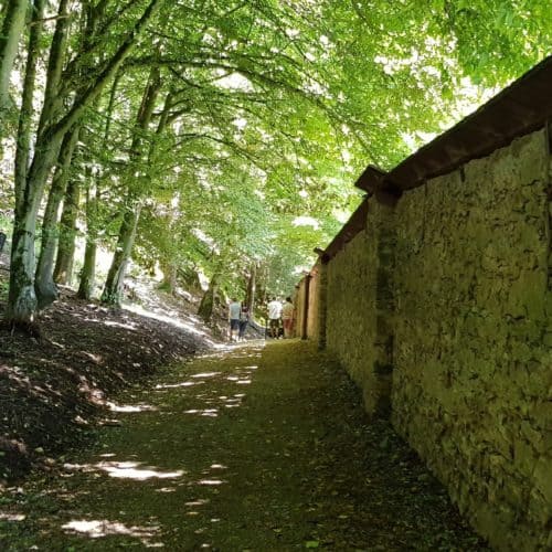 Schattiger Rundweg für Familienausflug im Tierpark Rosegg