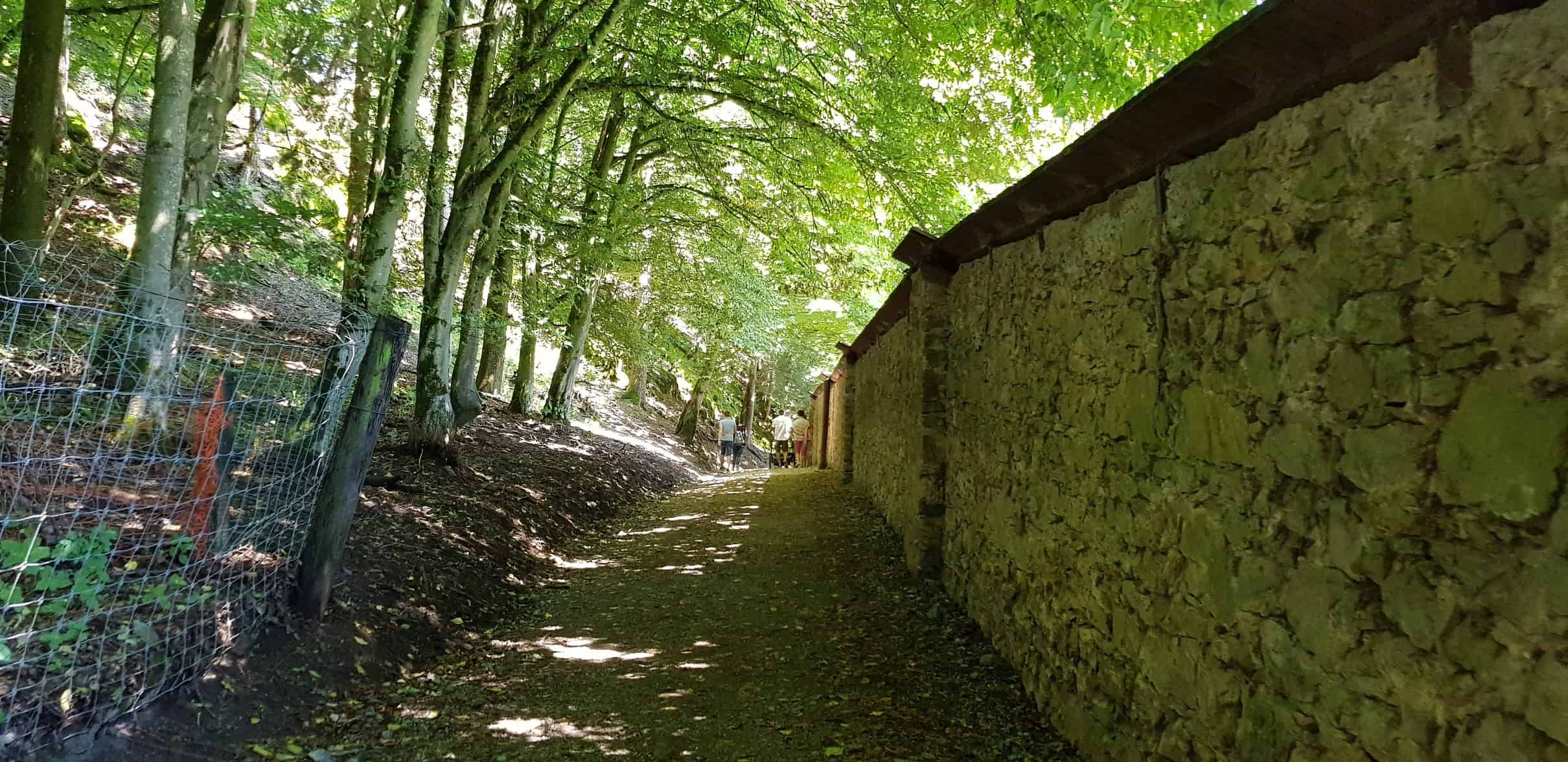 Schattiger Rundweg für Familienausflug im Tierpark Rosegg