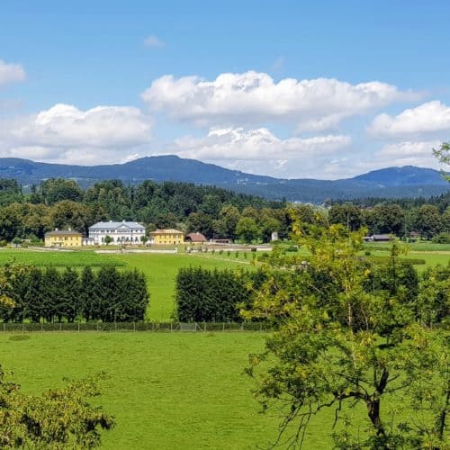 Schöner Weg durch Tierpark Rosegg mit Blick auf das Schloss Rosegg