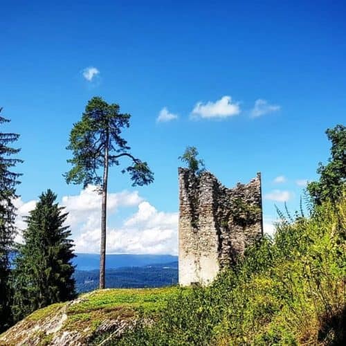 Ruine Rosegg im Tierpark Rosegg - Sehenswürdigkeiten in Kärnten, Österreich