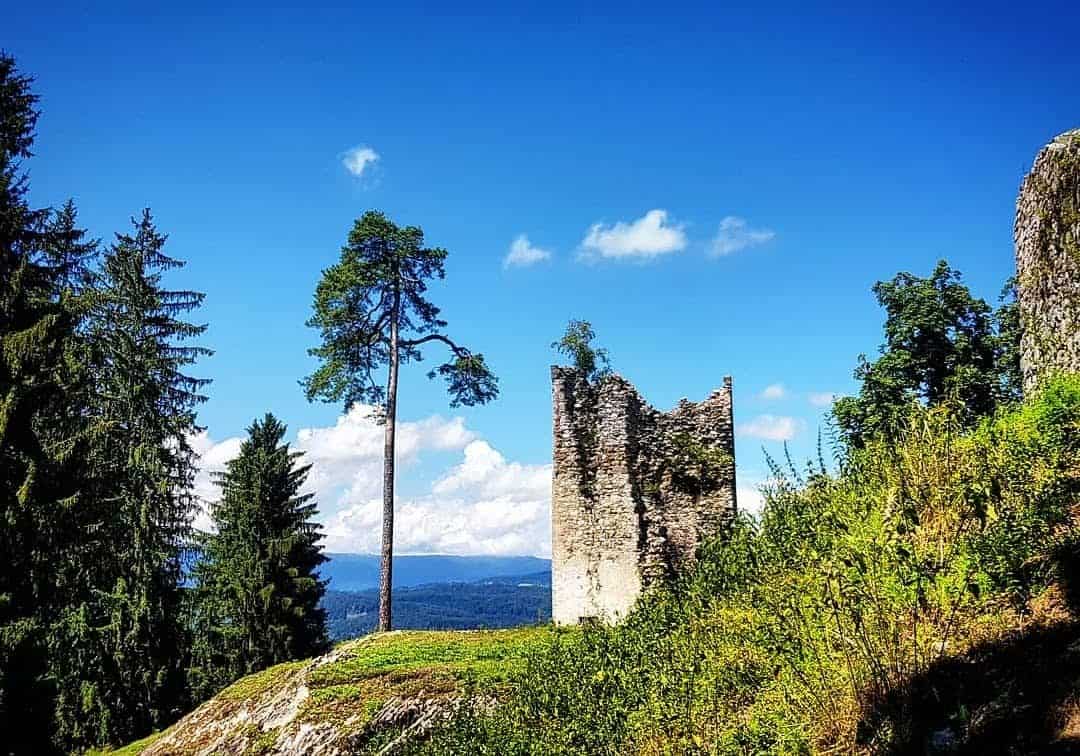 Ruine Rosegg im Tierpark Rosegg - Sehenswürdigkeiten in Kärnten, Österreich