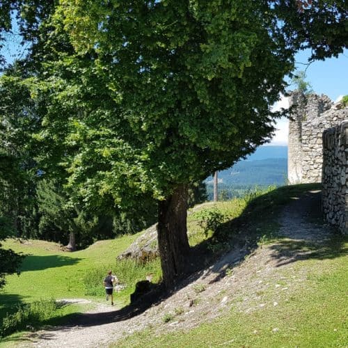 Kind läuft am Weg durch familienfreundlichen Tierpark Rosegg in Kärnten