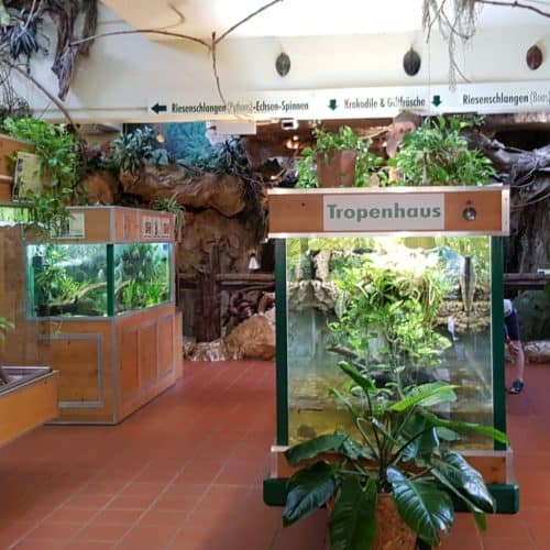 Terrarien im familienfreundlichen Reptilienzoo Happ Klagenfurt Kärnten