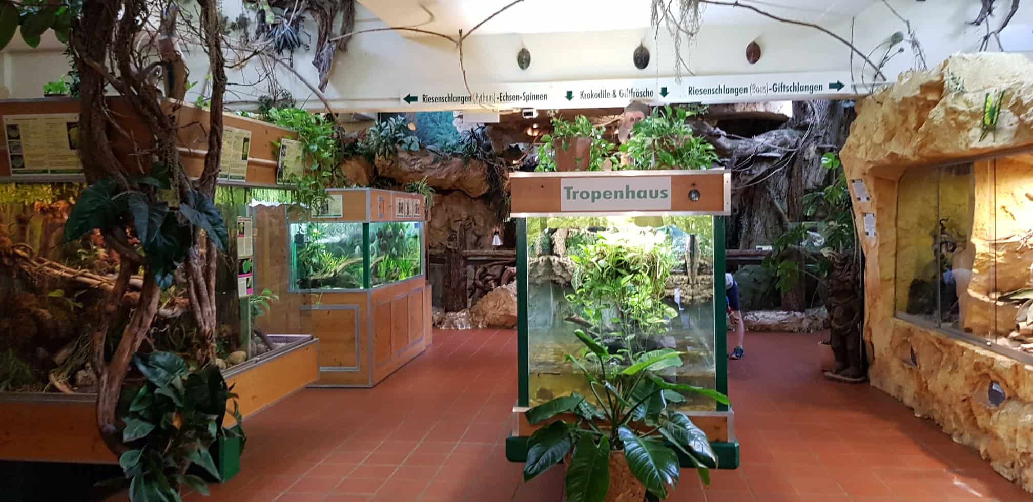 Terrarien im familienfreundlichen Reptilienzoo Happ Klagenfurt Kärnten