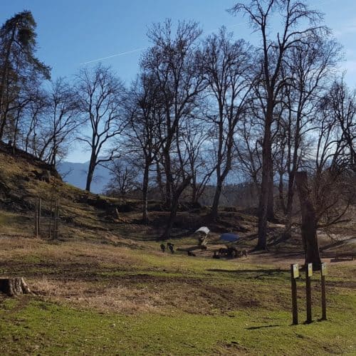 Kind beobachtet Tiere bei Rundwanderung im Tierpark Rosegg im Frühling - Ausflug in Kärnten