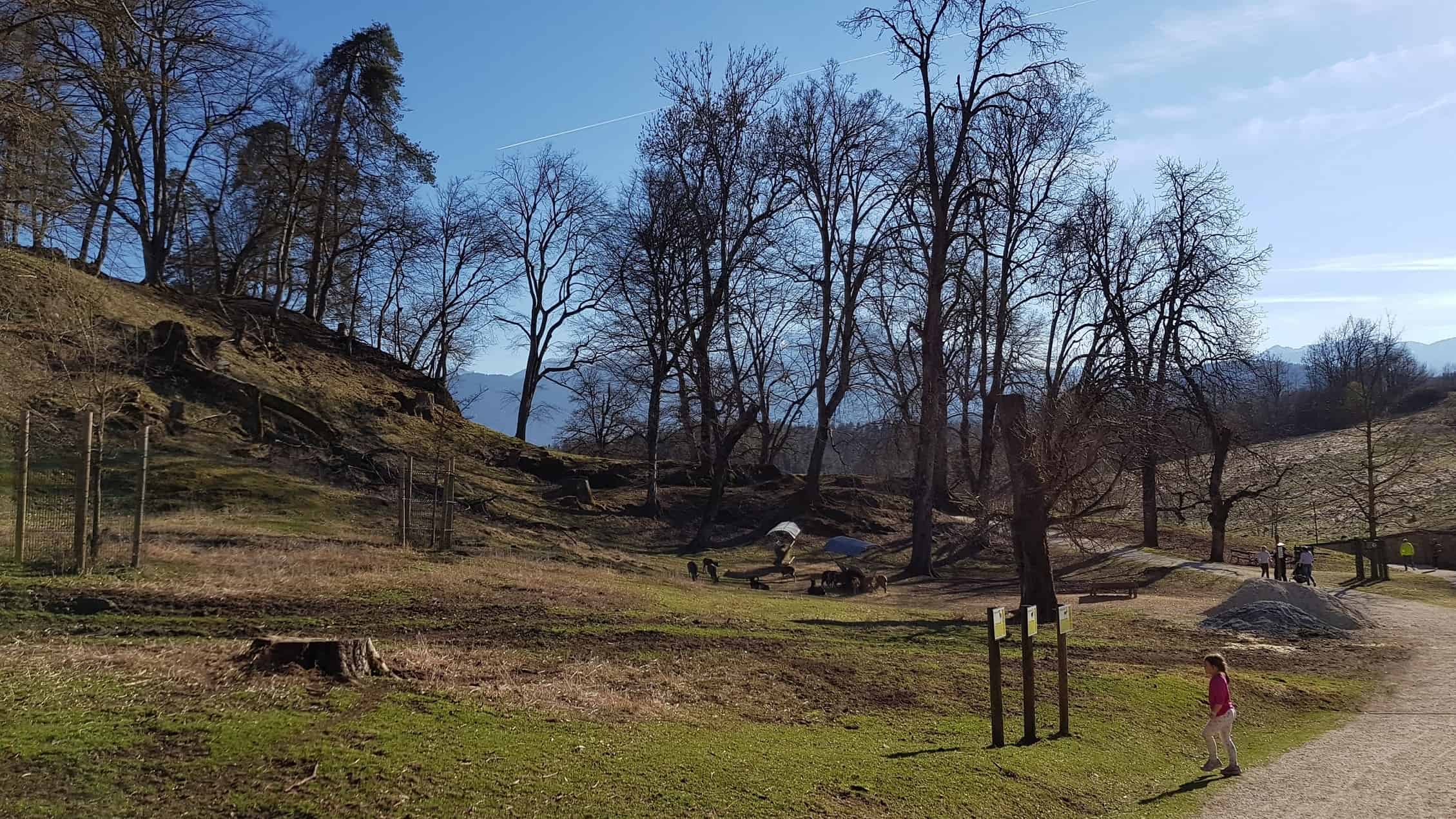 Kind beobachtet Tiere bei Rundwanderung im Tierpark Rosegg im Frühling - Ausflug in Kärnten