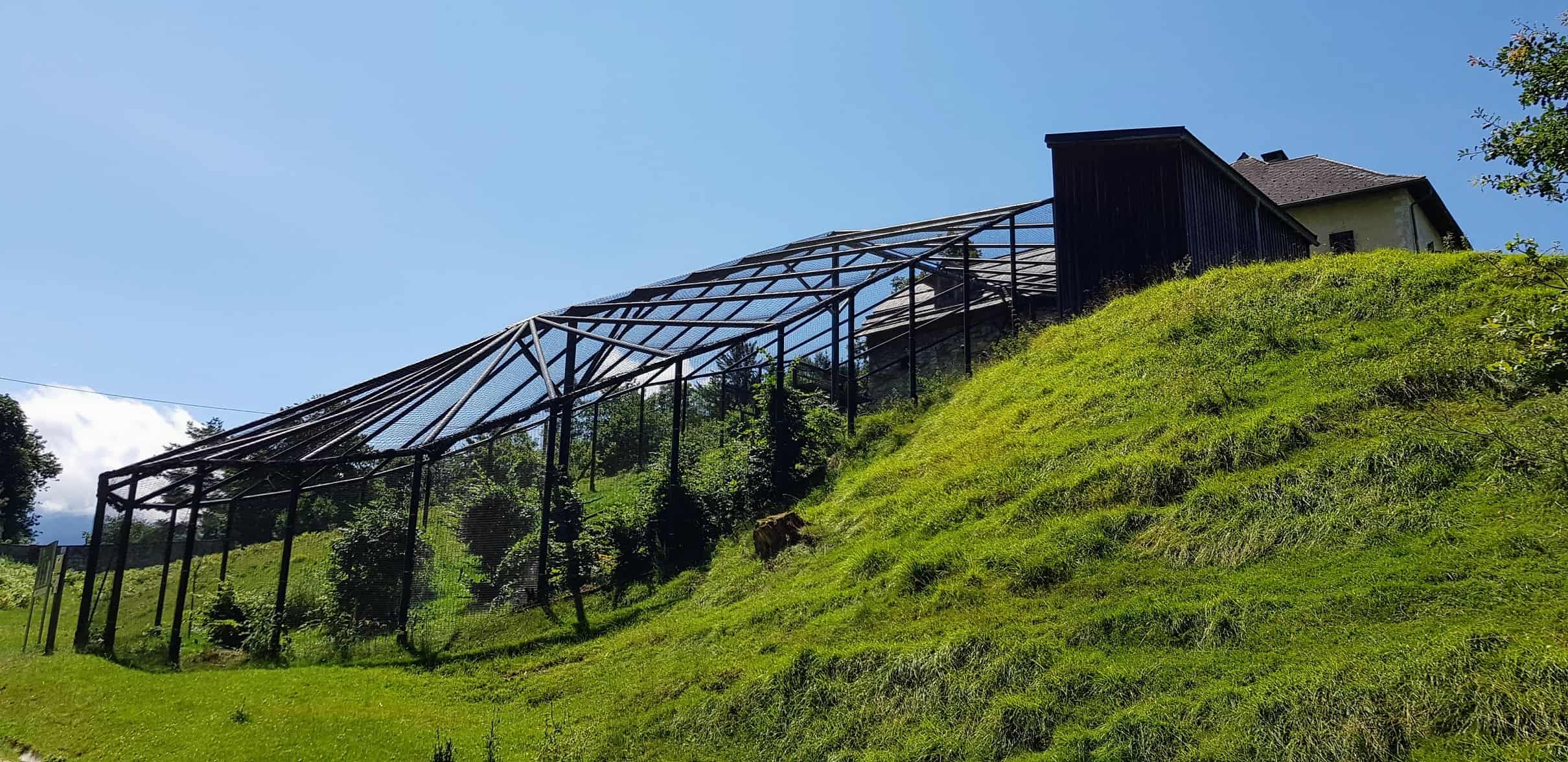 Waldrapp-Gehege Tierschutz Projekt Tierpark Schloss Labyrinth Rosegg Kärnten