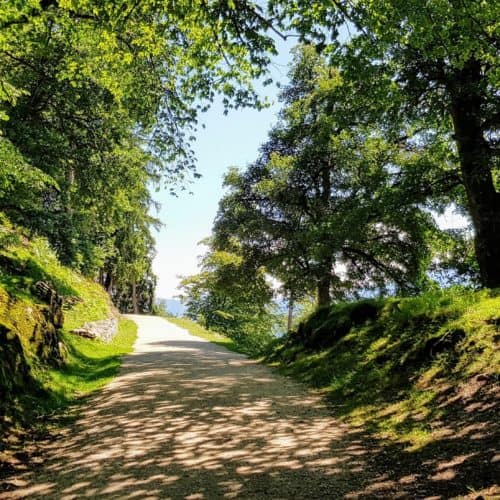 Wanderweg durch Ausflugsziel Tierpark Rosegg in Kärnten