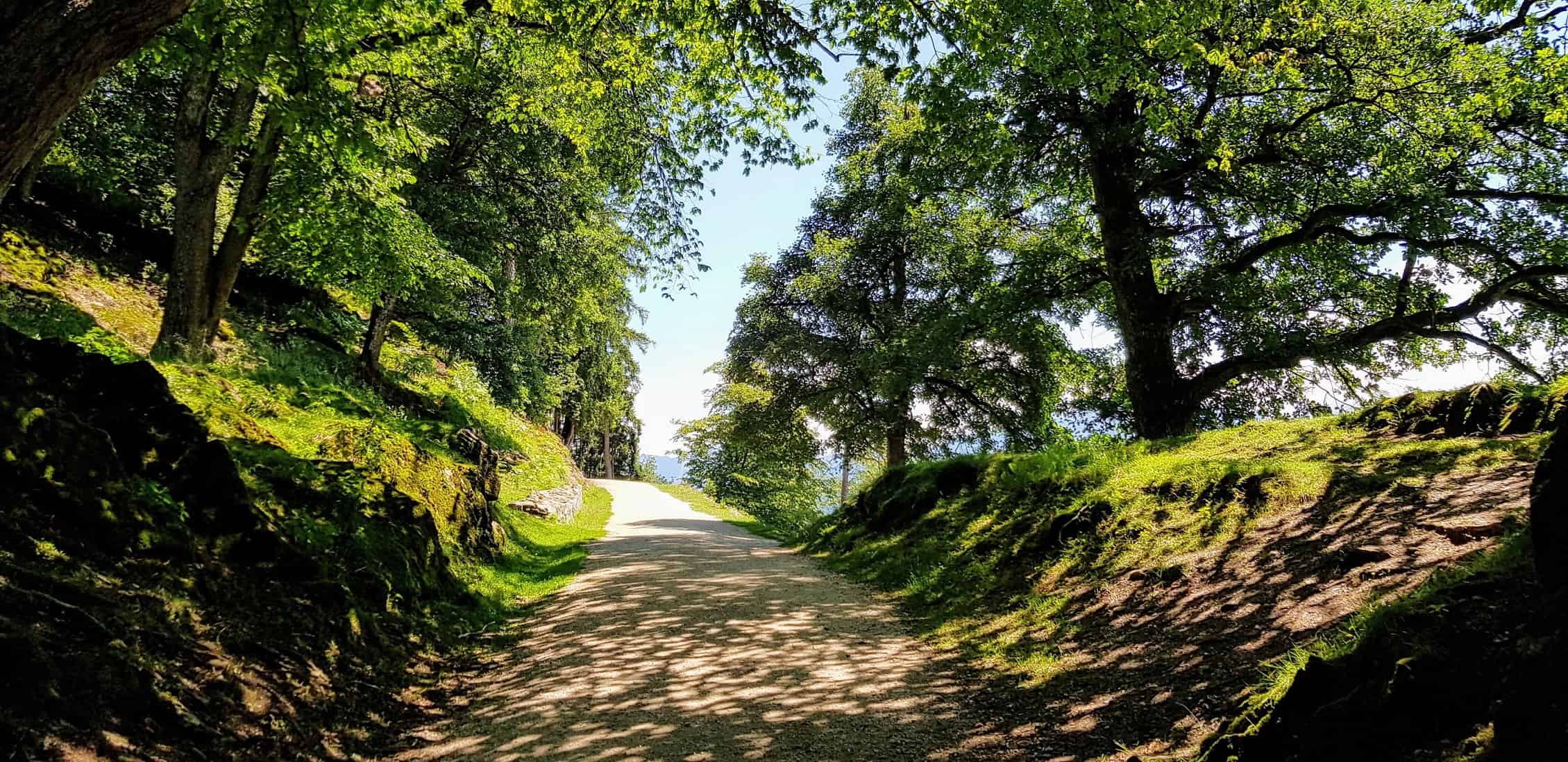 Wanderweg durch Ausflugsziel Tierpark Rosegg in Kärnten