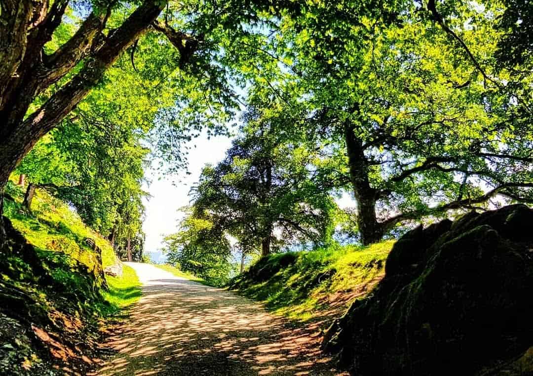 Schöner Wanderweg an heißen Tagen durch Tierpark Rosegg Ausflugsziele in Kärnten