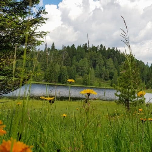 Schwarzsee - Bergsee auf der Turracher Höhe in Kärnten, Ausflugstipp in Österreich