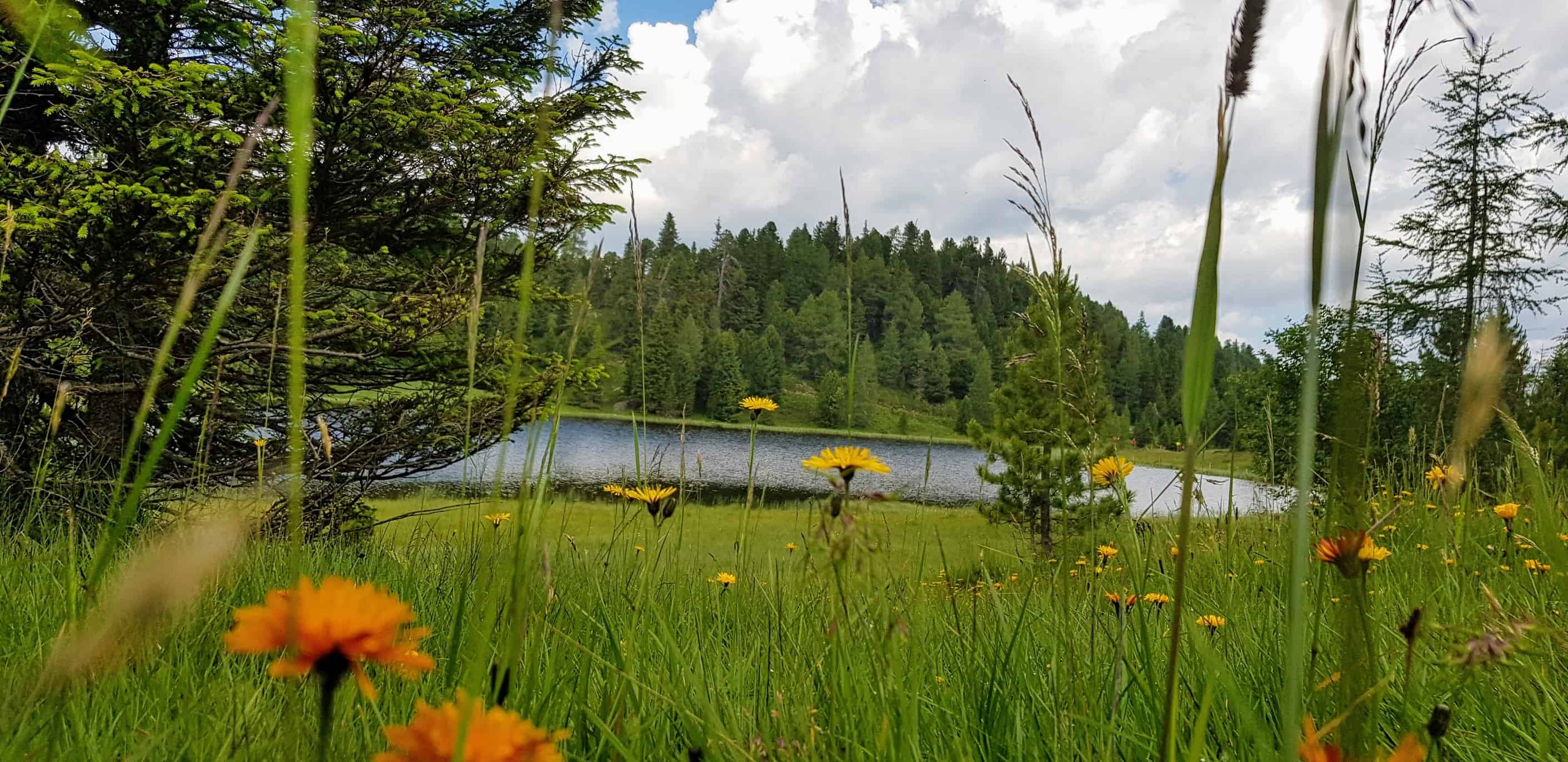 Schwarzsee - Bergsee auf der Turracher Höhe in Kärnten, Ausflugstipp in Österreich