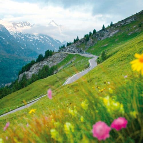 Sommer Ausflugsziel Großglockner Hochalpenstraße Naturlandschaft